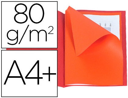 CHEMISE EXACOMPTA ROCK CARTE SOUPLE 240X320MM 210G ET 100 SOUS-CHEMISES 220X310MM 80G COLORIS ASSORTIS LOT 50+100 UNITS