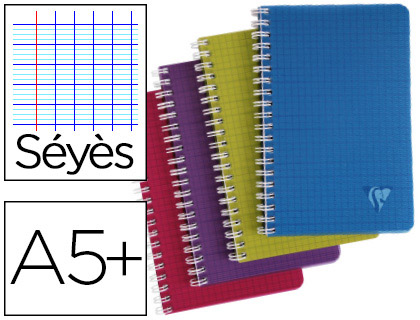 CAHIER CLAIREFONTAINE LINICOLOR INTENSIVE RELIURE INTGRALE A5+ 17X22CM 100 PAGES 90G RGLURE SYS COLORIS ASSORTIS