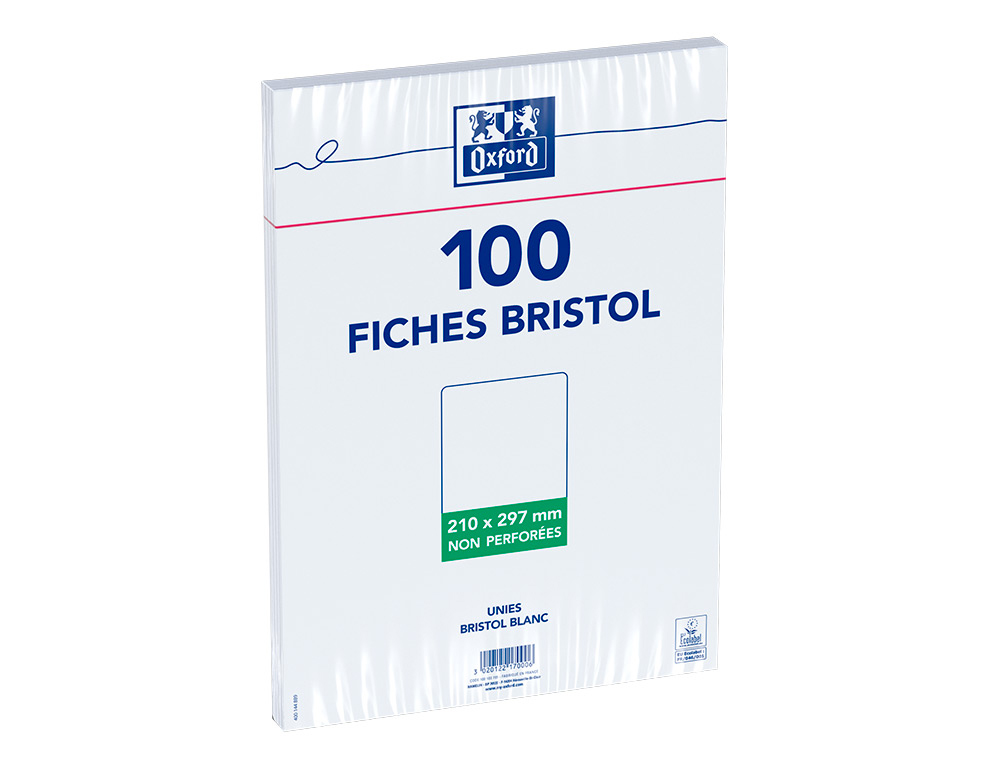 FICHE BRISTOL UNIVERSELLE 210X297 BLOC SAC H.100