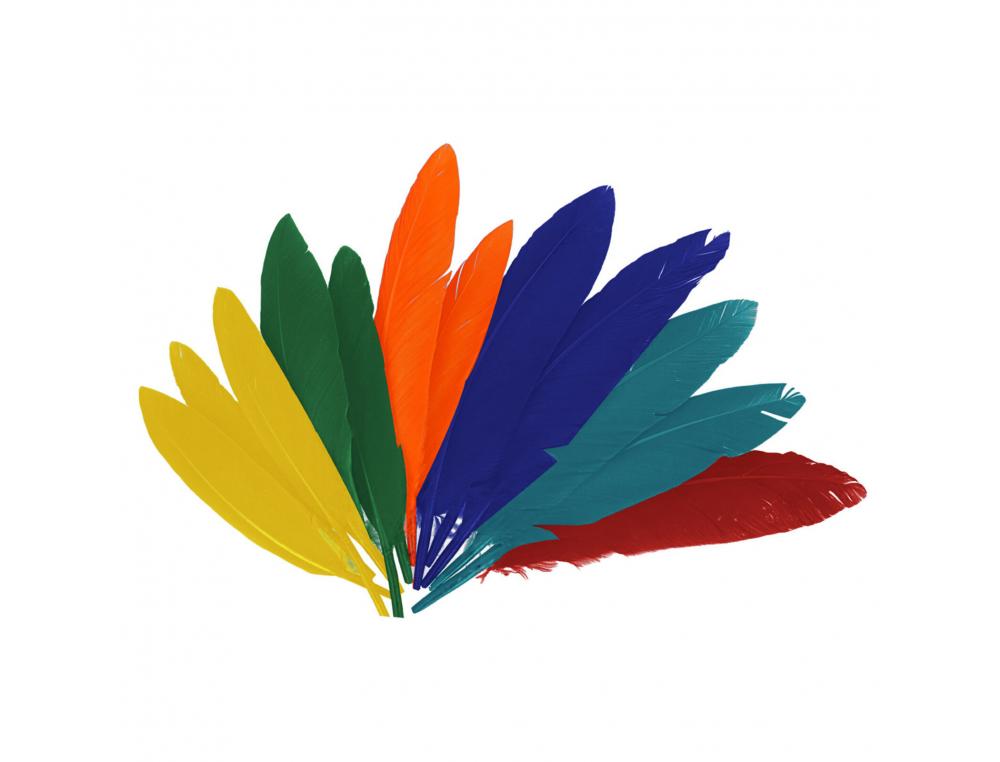 PLUMES INDIEN FONTORPIN SI 13 CM SACHET 60 UNITES COLORIS   ASSORTIS