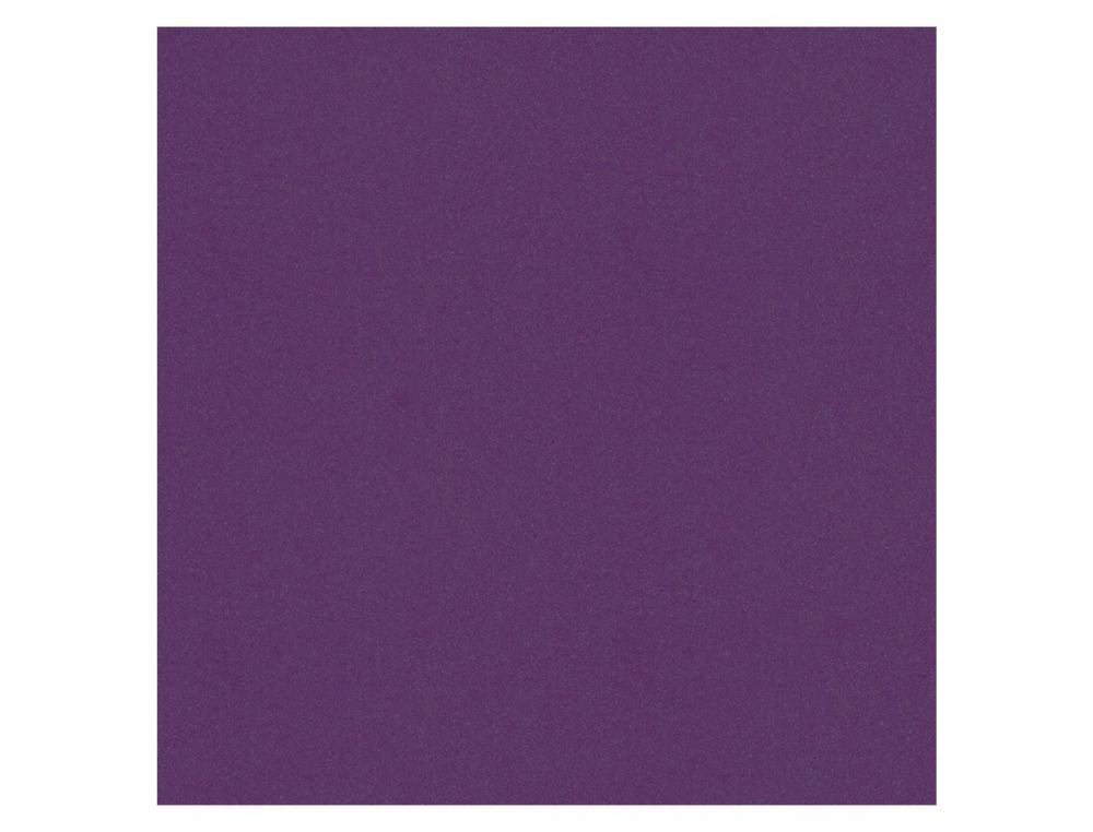 PAPIER DESSIN CLAIREFONTAINE CARTOLINE 50X65CM 120G        COLORIS VIOLET PAQUET 25      FEUILLES