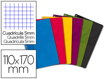 CARNET OXFORD RELIURE INTGRALE COUVERTURE PELLICULE LAVABLE SOUPLE 11X17CM 180 PAGES 90G 5X5MM COLORIS ASSORTIS