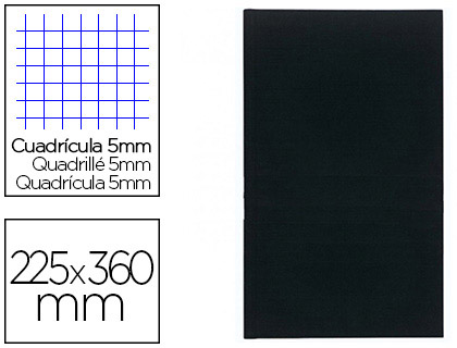 REGISTRE STANDARD EXACOMPTA 225X360MM 5X5MM FOLIOT VERTICAL 200 PAGES