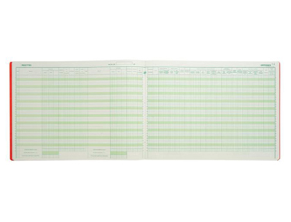 REGISTRE PIQU EXACOMPTA PROFESSIONS LIBRALES RECETTES/DPENSES 270X380MM 80 PAGES