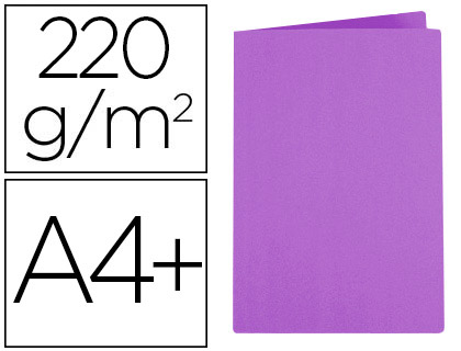 CHEMISE EXACOMPTA ROCK'S 240X320MM 210G COLORIS VIOLINE PACK100 UNITS