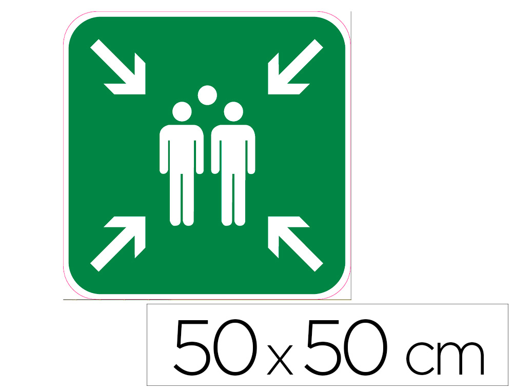 PANNEAU DE SIGNALISATION ALUMINIUM SIGNALETIQUE BIZ    POINT DE RASSEMBLEMENT        POSE FACILE RAPIDE SUR SOL