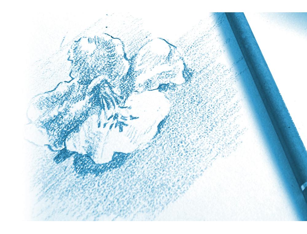 PAPIER DESSIN CLAIREFONTAINE  GRAIN 180G 24x32CM POCHETTE DE 15U LOT 30 POCHETTES