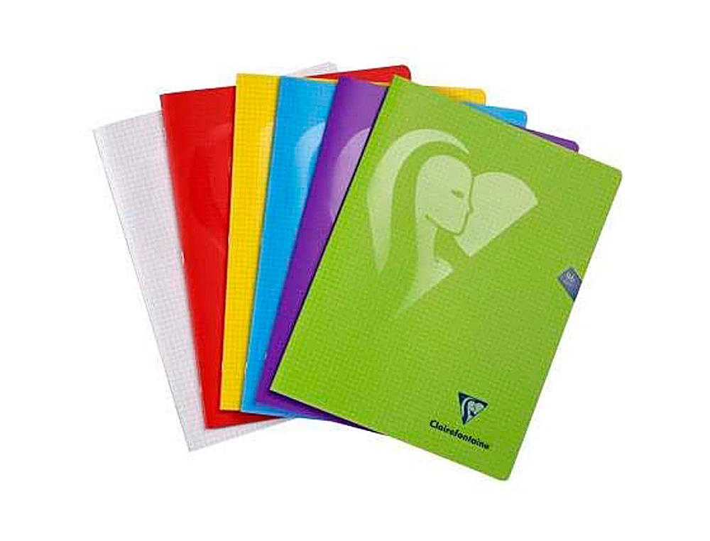 CAHIER PIQU CLAIREFONTAINE MIMESYS COUVERTURE POLYPROPYLNE A4+ 24X32CM 96 PAGES 90G QUADRILLAGE 5MM COLORIS ASSORTIS