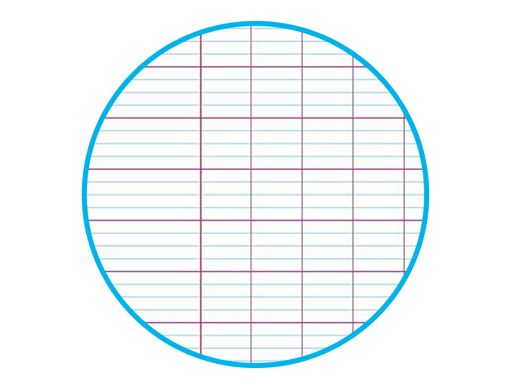 CAHIER PIQUE CLAIREFONTAINE KOVERBOOK BLUSH POLYPROPYLENE 24X32CM 96 PAGES SEYES COLORIS PASTEL ASSORTIS