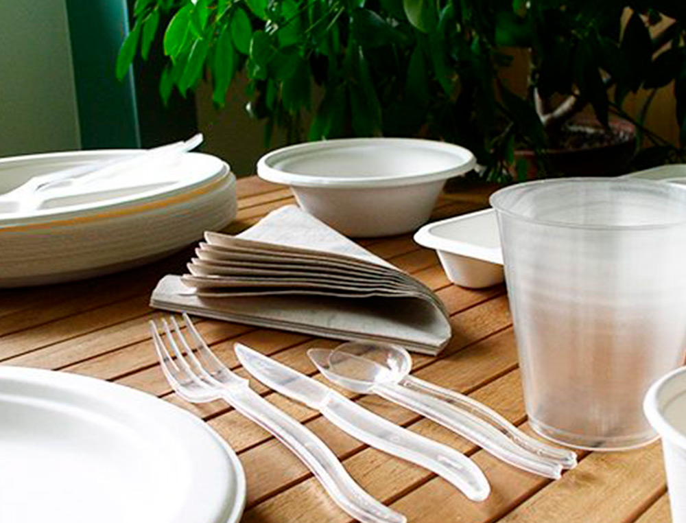 ASSIETTE PLATE IVOIRE COLDIS FIBRES VEGETALES BIODEGRADABLE DIAMETRE 23CM SACHET 50 UNITES