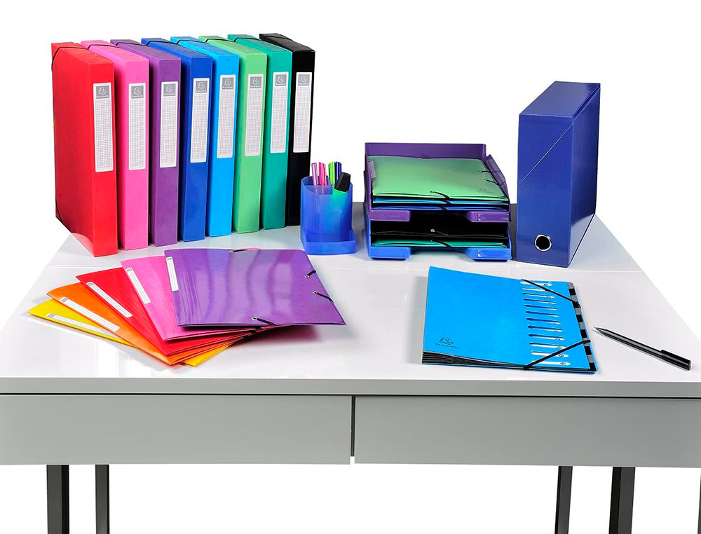 BOITE TRANSFERT EXACOMPTA IDERAMA CARTON RECOUVERT PAPIER TOILE 16/10E A4 25X33CM DOS 120MM OEILLET