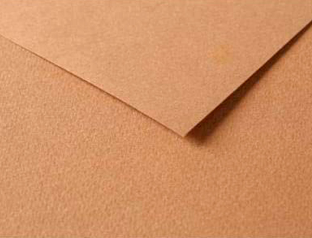 PAPIER DESSIN CLAIREFONTAINE A GRAIN 160G 1 SURFACE GRAINEE 1 LISSE 50X65CM PAQUET 25F COLORIS MARRON