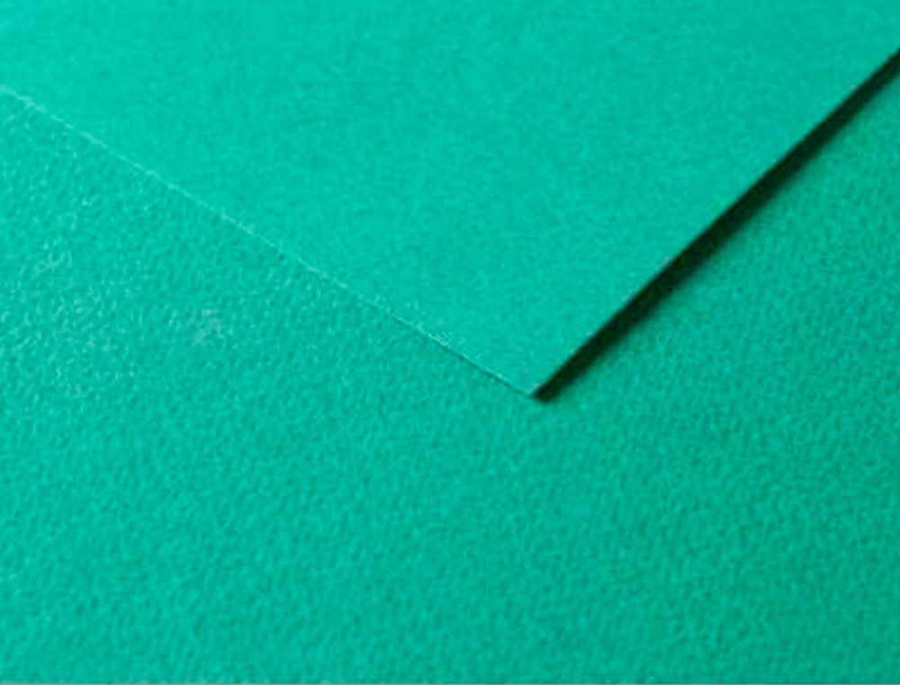 PAPIER DESSIN CLAIREFONTAINE A GRAIN 160G 1 SURFACE GRAINEE 1 LISSE 50X65CM PAQUET 25F COLORIS VERT FONCE