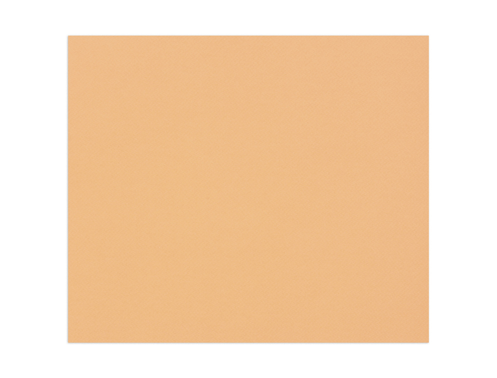 PAPIER DESSIN CLAIREFONTAINE A GRAIN 160G 1 SURFACE GRAINEE 1 LISSE 50X65CM PAQUET 25F COLORIS SAUMON
