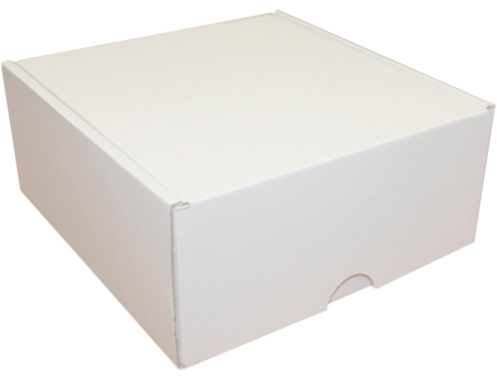 BOITE EXPEDITION CADEAU KRAFT BLANC INTERIEUR ET EXTERIEUR  241X166X94MM LOT DE 2 BOITES