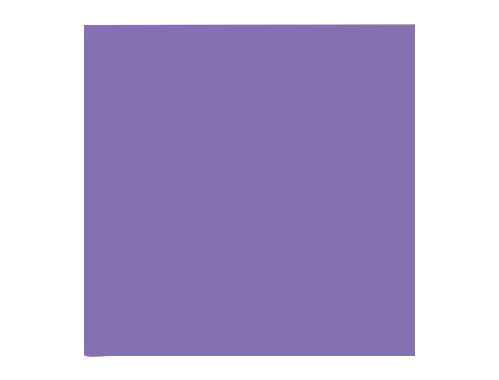 PAPIER CLAIREFONTAINE MULTIFONCTION LASER COULEUR TROPHE A3 160G/M2 VIOLINE PARFAITE OPACITE PAQUET 250