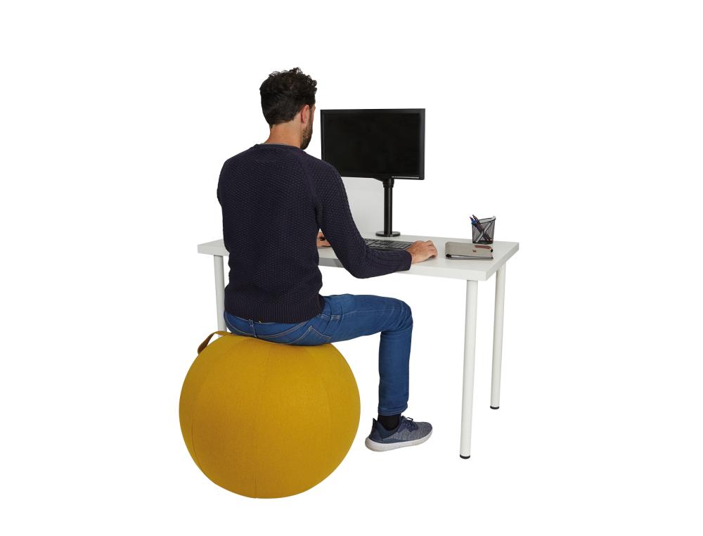 BALLON D'ASSISE ALBA ERGONOMIQUE PVC ET TISSU POLYESTER SAFRANáá