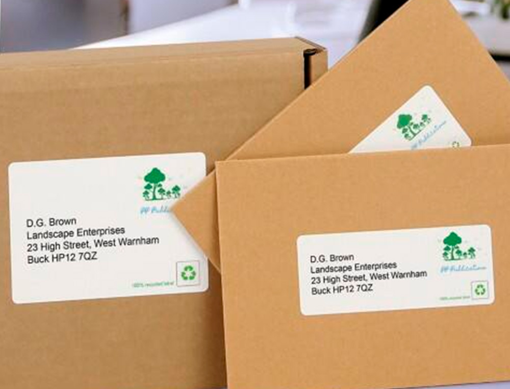 ETIQUETTE AUTOCOLLANTE AVERY ADRESSE RECYCLEE LASER BLANC 99,1 X 33,9MM BOITE DE 240