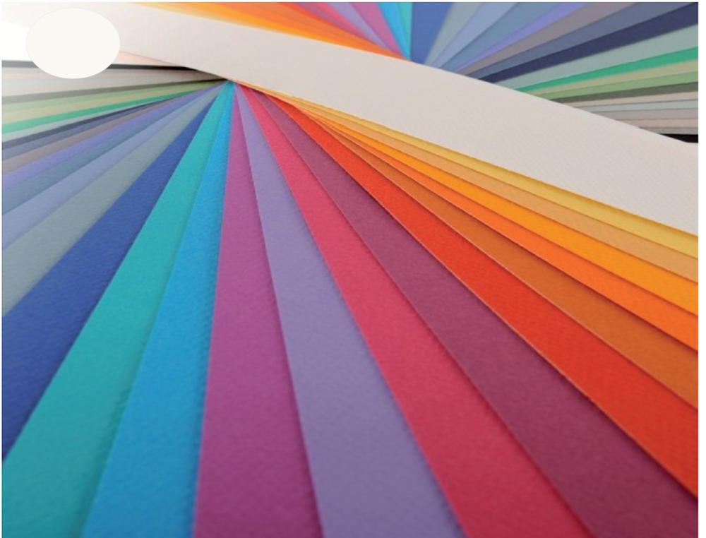 PAPIER DESSIN CANSON FEUILLE MI-TEINTES N 111 GRAIN        GELATINE HAUTE TENEUR COTON   160G 50X65CM UNICOLORE IVOIRE