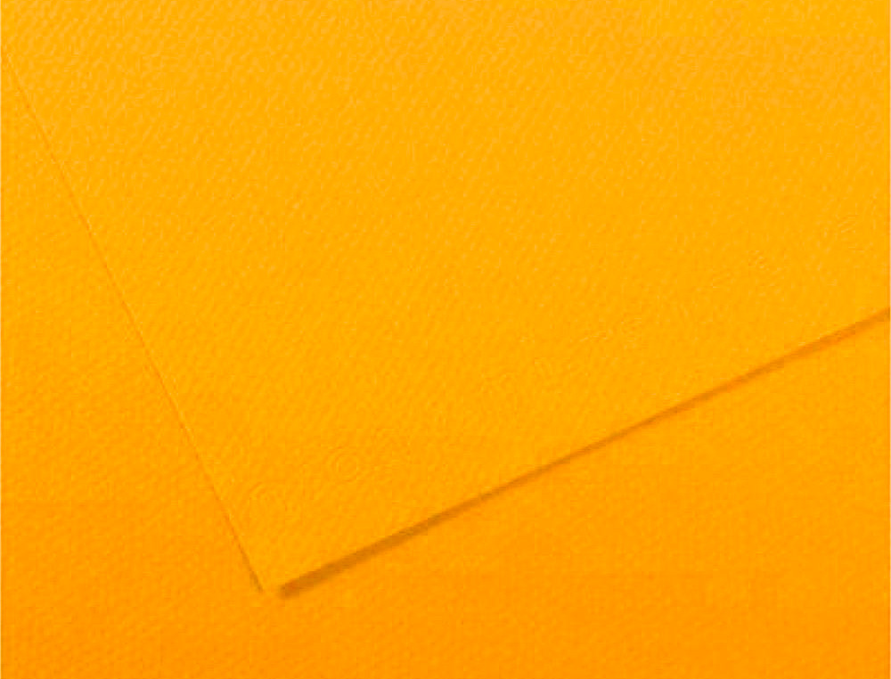 PAPIER DESSIN CANSON FEUILLE MI-TEINTES N 400 GRAIN GELATINE HAUTE TENEUR COTON 160G 50X X65CM UNICOLORE BOUTON OR