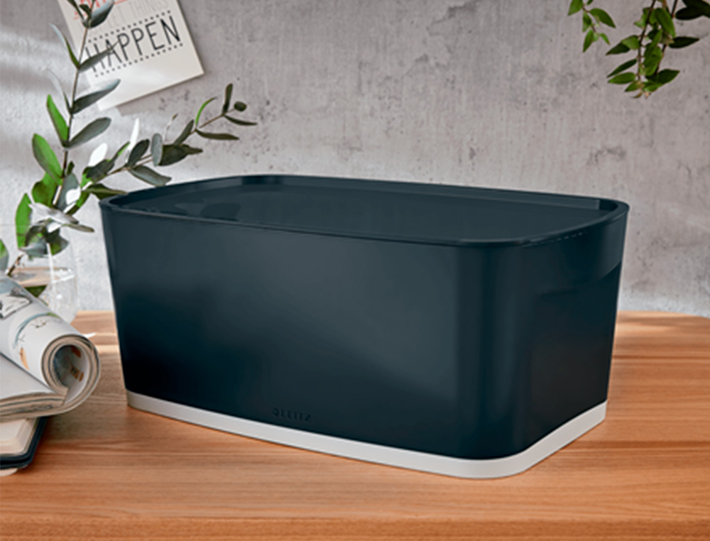 BOITE DE RANGEMENT LEITZ COSY MY BOX PETIT FORMAT AVEC COUVERCLE COLORIS GRIS