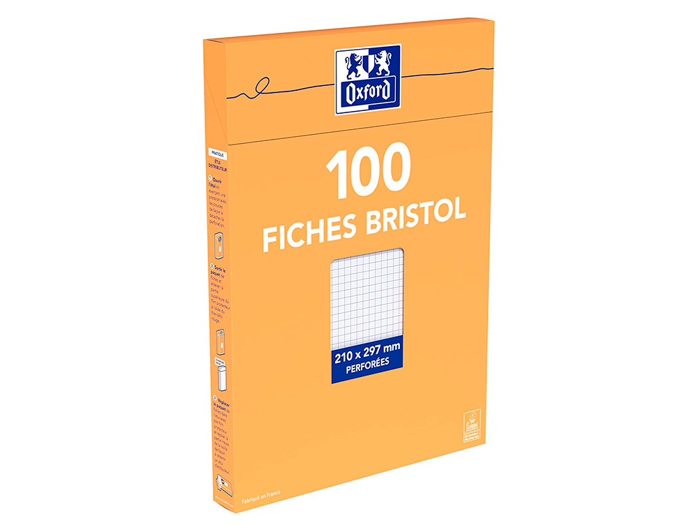FICHE BRISTOL UNIVERSELLE 210X297 BLOC SAC H.100