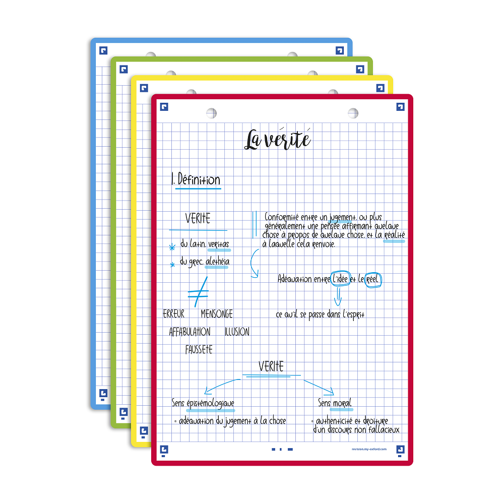 FICHES BRISTOL OXFORD REVISION 2.0 A5 PERFOREE 32 FICHES/FILM Q5X5 COULEUR ASSORTIES
