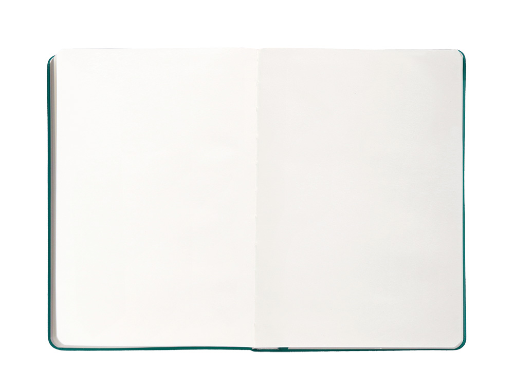 CARNET A4 ANTARTIK NOTES PAPIER UNI IVOIRE COUVERTURE RIGIDE FERMETURE ELASTIQUE 100PAGES 80GR COLORIS VERT PAON