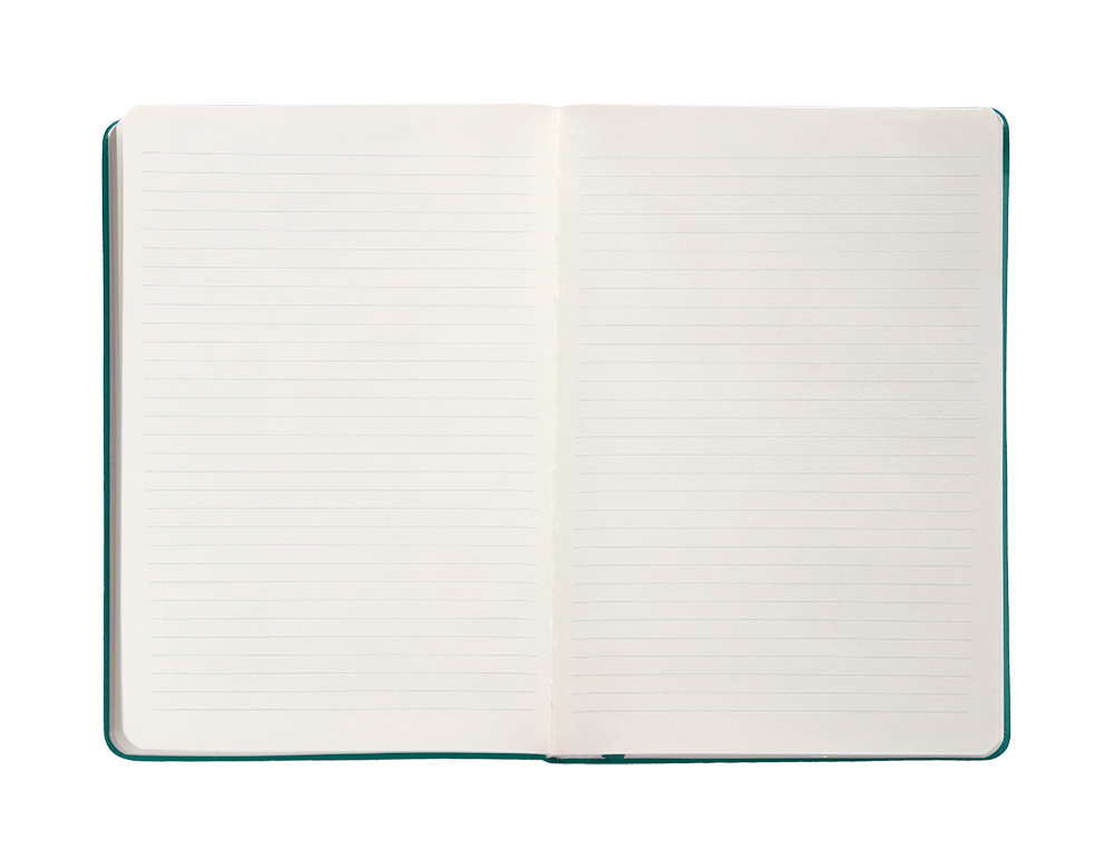 CARNET A4 ANTARTIK NOTES LIGNECOUVERTURE RIGIDE FERMETURE ELASTIQUE 200 PAGES 80GR COLORIS VERT PAON