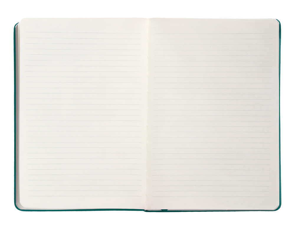 CARNET A5 ANTARTIK NOTES LIGNECOUVERTURE RIGIDE FERMETURE ELASTIQUE 100 PAGES 80GR COLORIS VERT PAON