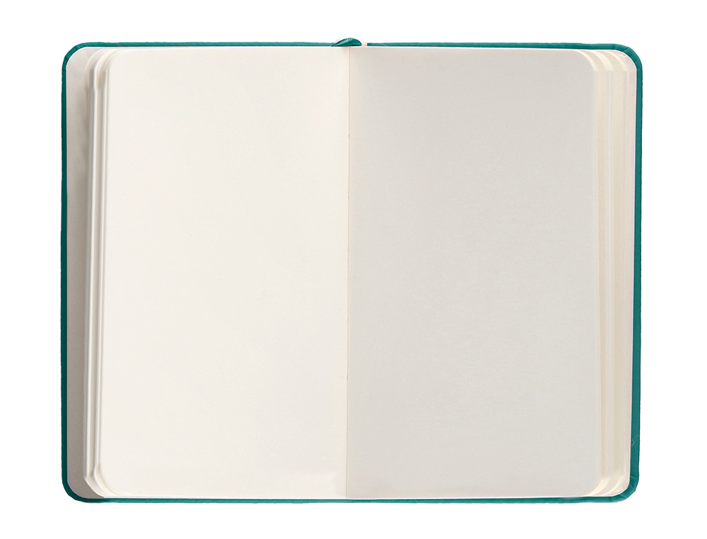 CARNET A6 ANTARTIK NOTES PAPIER UNI IVOIRE COUVERTURE RIGIDE FERMETURE ELASTIQUE 100PAGES 80GR COLORIS VERT PAON