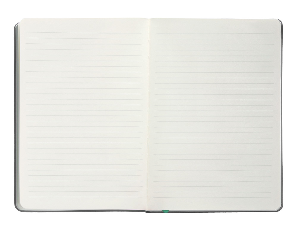 CARNET A5 ANTARTIK NOTES LIGNECOUVERTURE RIGIDE FERMETURE ELASTIQUE TURQUOISE 100 PAGES 80GR COLORIS GRIS