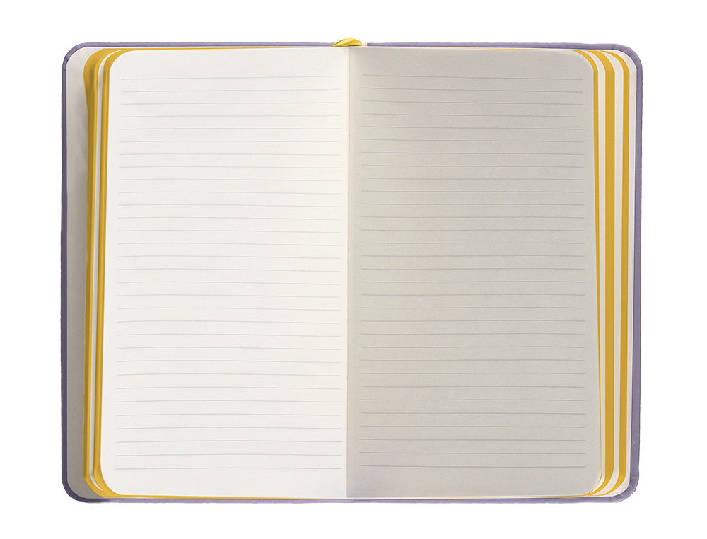 CARNET A6 ANTARTIK NOTES LIGNECOUVERTURE RIGIDE FERMETURE ELASTIQUE JAUNE 100 PAGES 80GRCOLORIS LILAS