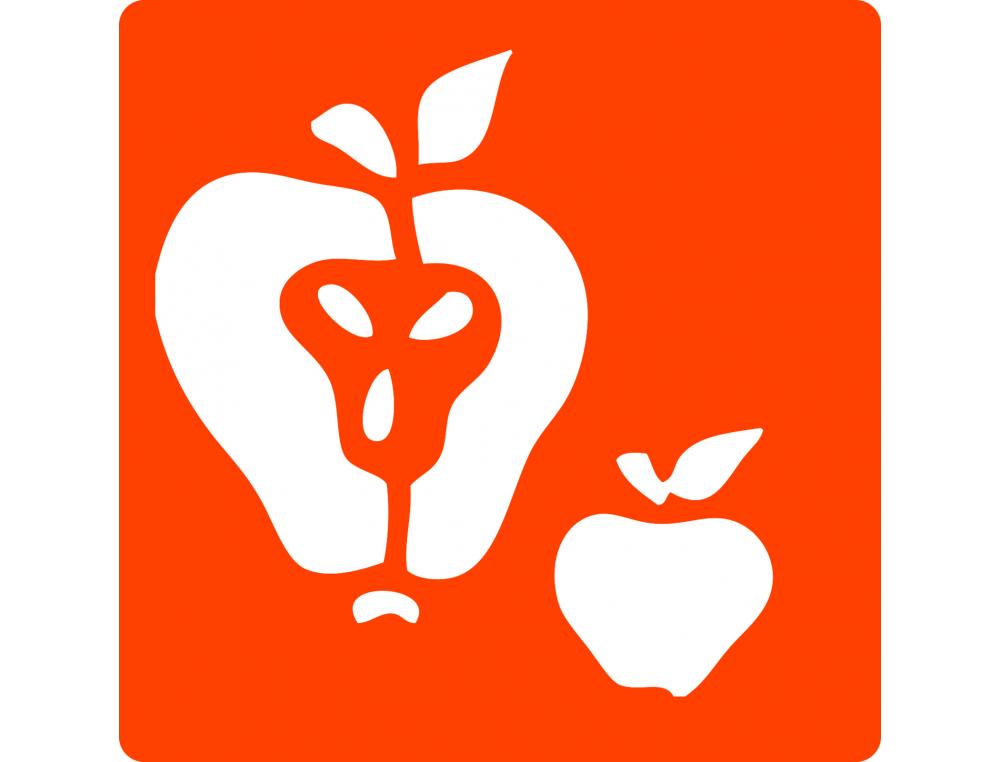 POCHOIRS GRAINE CREATIVE A DESSINER FRUITS PLASTIQUES LAVABLES 6 UNITES ASSORTIS
