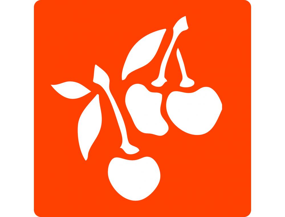 POCHOIRS GRAINE CREATIVE A DESSINER FRUITS PLASTIQUES LAVABLES 6 UNITES ASSORTIS