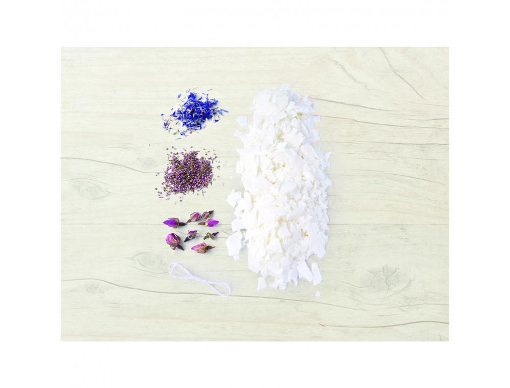 KIT BOUGIES FLEURIES GRAINE CREATIVE POUR 12 ELEVES KIT   COMPLET