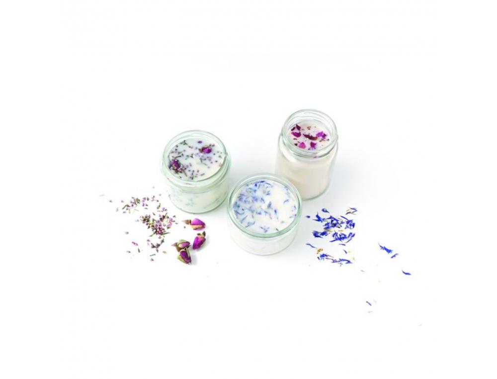 KIT BOUGIES FLEURIES GRAINE CREATIVE POUR 12 ELEVES KIT   COMPLET