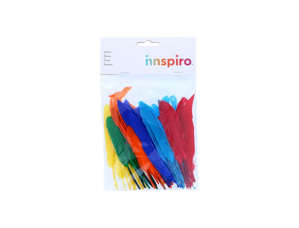 PLUMES INDIEN FONTORPIN SI 13 CM SACHET 60 UNITES COLORIS   ASSORTIS