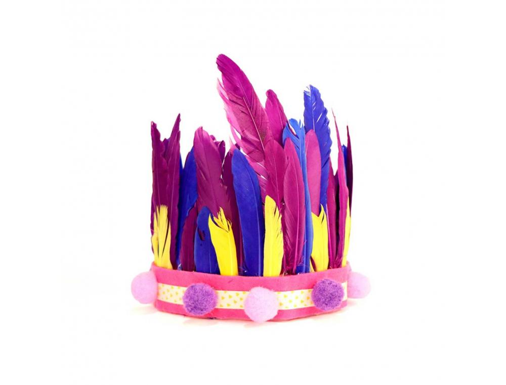 PLUMES INDIEN FONTORPIN SI 13 CM SACHET 60 UNITES COLORIS   ASSORTIS