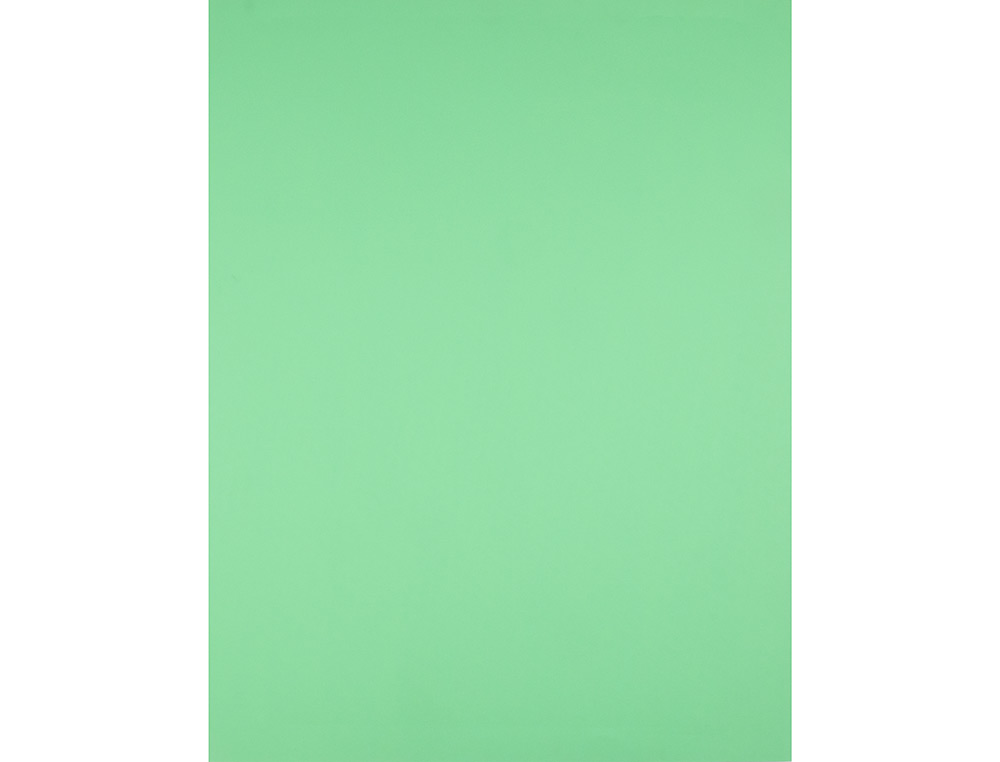 PAPIER CARTONNE LIDERPAPEL 50X65CM 180GR COLORIS VERT    PISTACHE