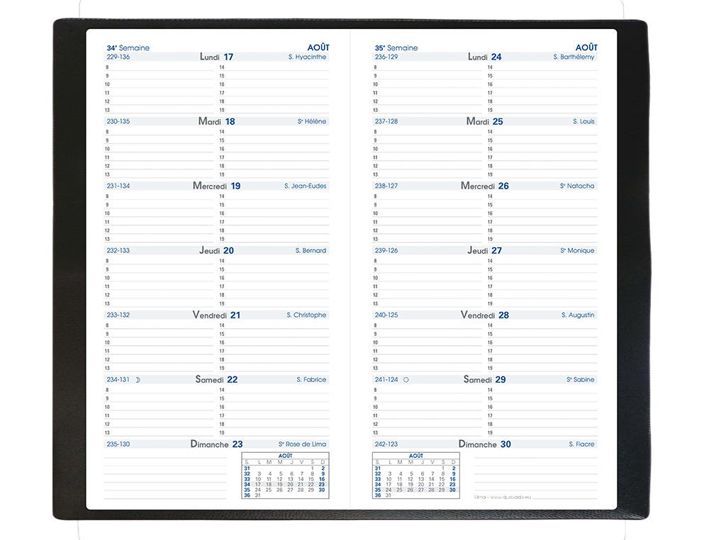 AGENDA QUO VADIS SILMA PLANNING POCHE AGRAF 12 MOIS JANVIER/DCEMBRE 1 SEMAINE 1 PAGE 88X170MM COLORIS ASSORTIS