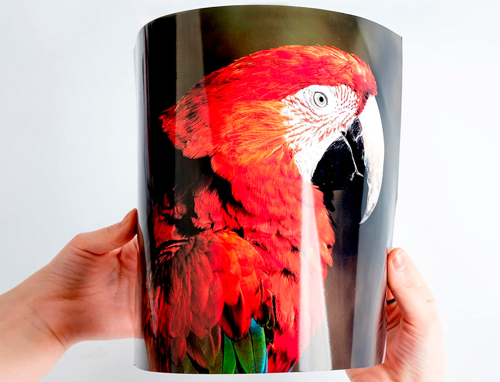 PAPIER PHOTO Q-CONNECT JET D'ENCRE GLACÉ BRILLANT A4 18 0G/M2 COMPATIBLE TOUTE IMPRIMANTE PAQUET 20 FEUILLES