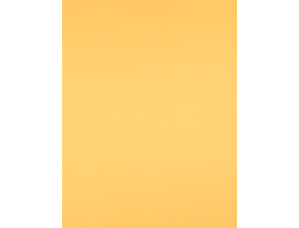 PAPIER CARTONNE LIDERPAPEL 50X65CM 240GR COLORIS OR