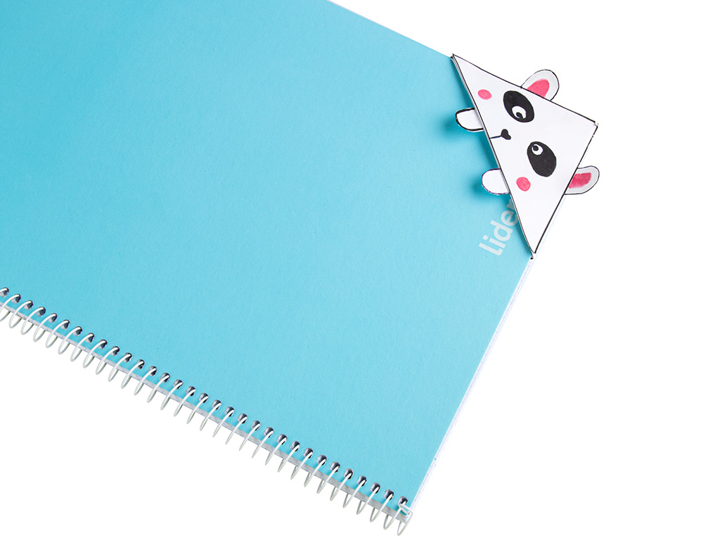PAPIER CARTONNE LIDERPAPEL 50X65CM 240GR COLORIS MARRON FONCE