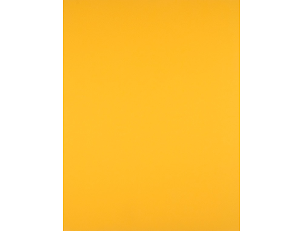 PAPIER CARTONNE LIDERPAPEL 50X65CM 240GR COLORIS VIEIL OR