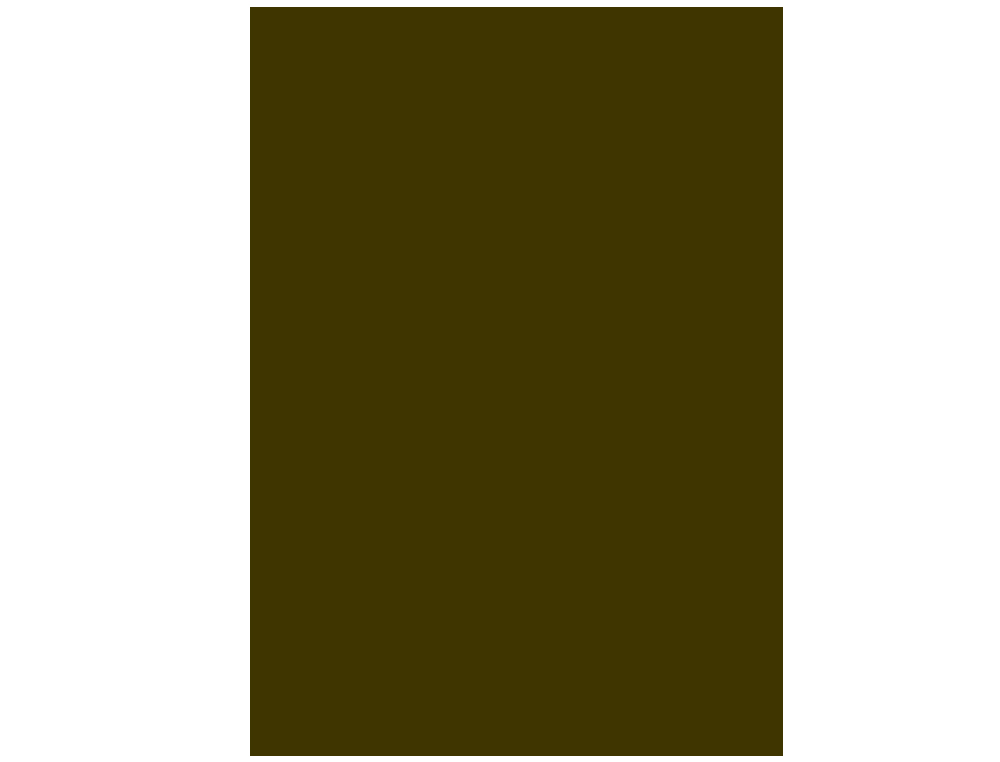 PAPIER CARTONNE LIDERPAPEL 50X65CM 240GR COLORIS MARRON  CLAIR