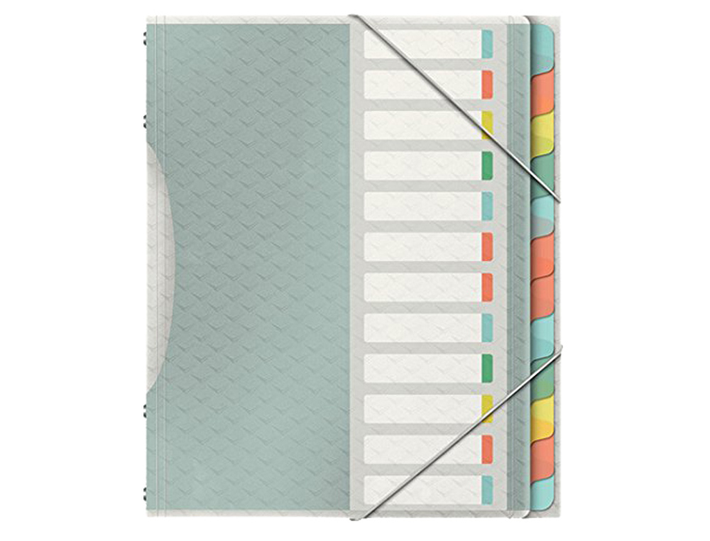 TRIEUR ESSELTE COLOUR'ICE POLYPROPYLÈNE TEXTURÉ 266X320MM 12 TOUCHES FERMETURE ÉLASTIQUE COLORIS ASSORTIS