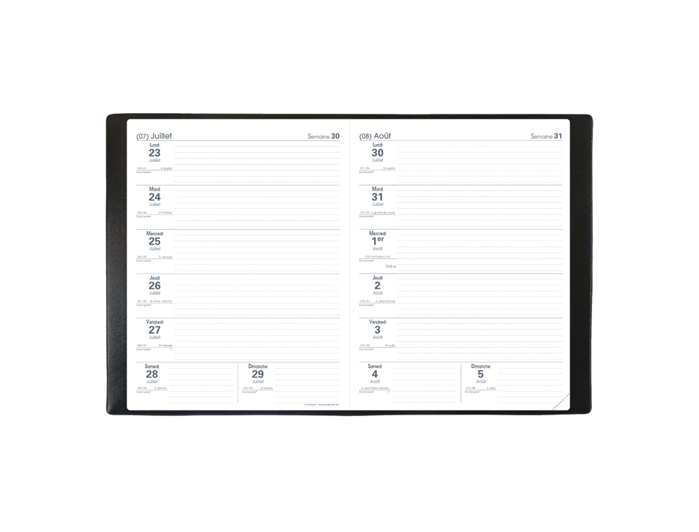 AGENDA QUO VADIS LE PROFESSEUR IMPALA COLORIS NOIR DIM. 210X270MM