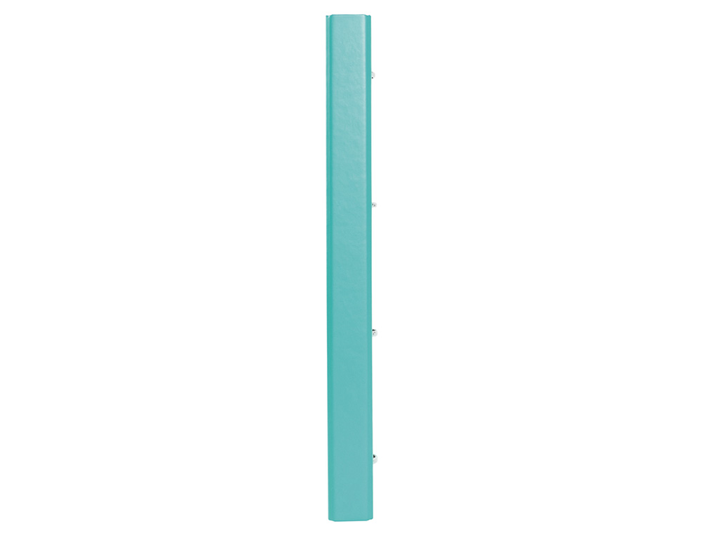 CLASSEUR ANTARTIK 4 ANNEAUX RONDS 25MM A4 CARTON REMBORDE FEUILLETS MOBILES Q5X5 COLORISMENTHE
