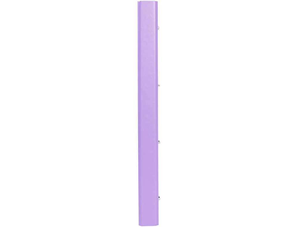 CLASSEUR ANTARTIK 4 ANNEAUX RONDS 25MM A4 CARTON REMBORDE FEUILLETS MOBILES Q5X5 COLORISLAVANDE